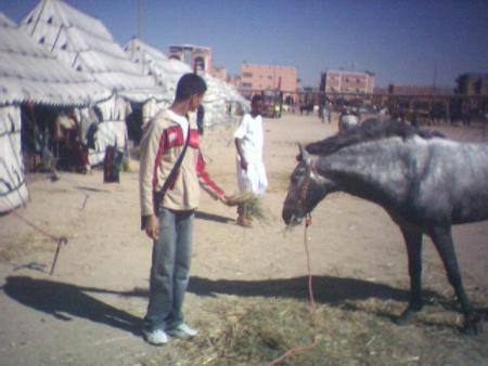 warir kol inta bi3da 3ad bach howa